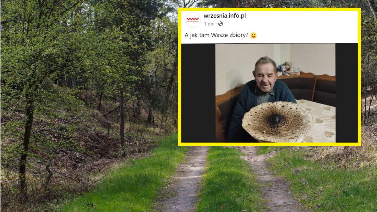 Pan Władysław znalazł gigantyczną kanię