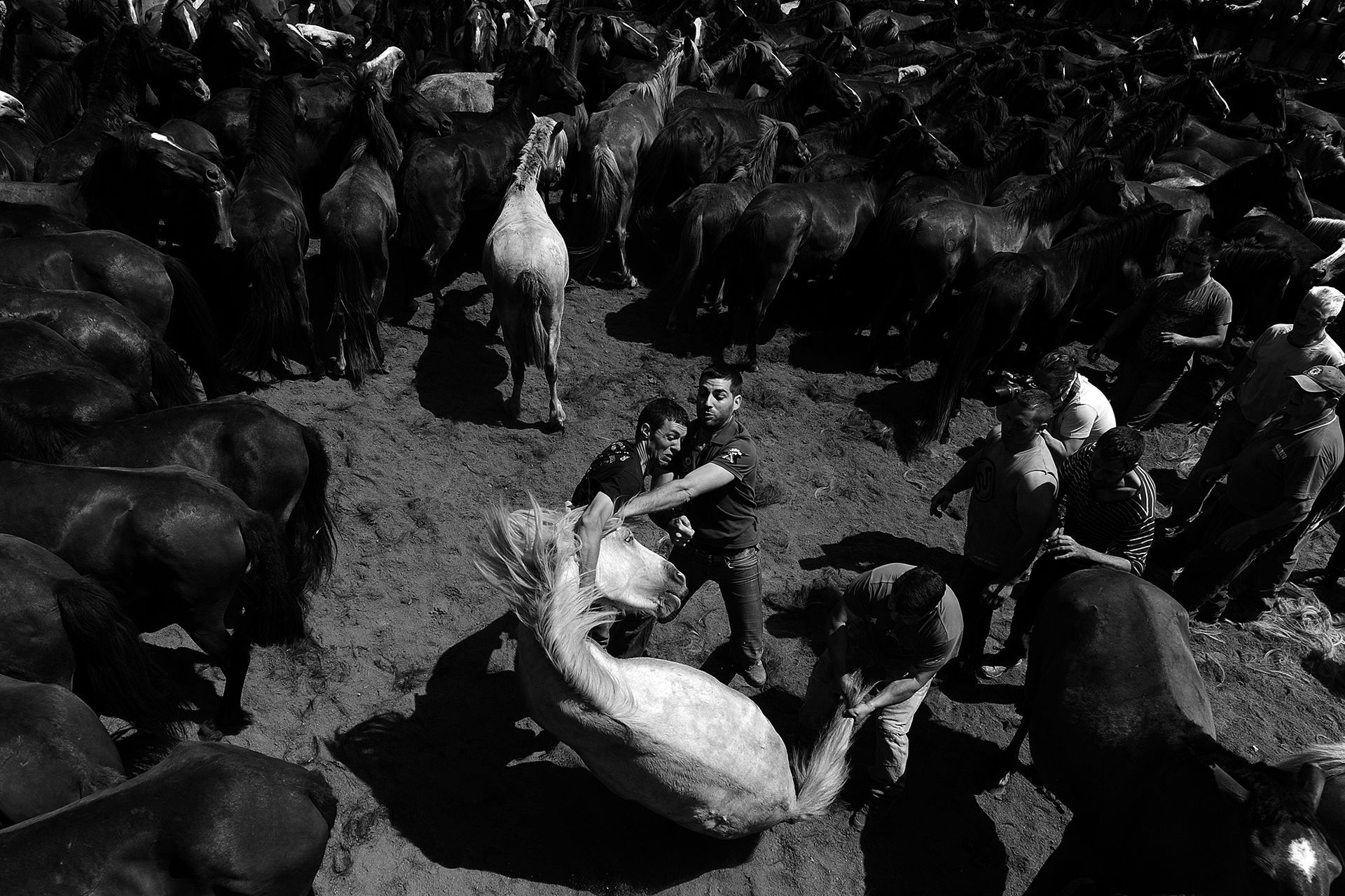 Polak laureatem Siena International Photo Awards 2016 8