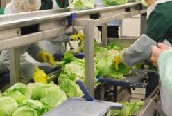 Polacy chcą pracować w soboty? Aż 69 procent pracowników dopuszcza taką możliwość