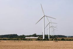 NIK prześwietla elektrownie wiatrowe (WIDEO)