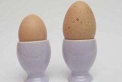 Wielki kant z wiejskimi jajami!