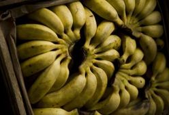 Po fuzji firm - największy na świecie dostawca bananów