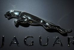 Polski wkład w budowę Jaguara