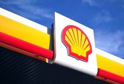 Shell wystawi na sprzedaż złoża na Morzu Północnym