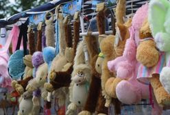 "Dziennik Gazeta Prawna": polskie zabawki made in China biją rekordy
