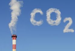 Polska sprzedała ponad 3,6 mln uprawnień do emisji CO2 po 5,37 euro