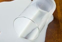 Nowozelandzka firma przeprasza za skażone produkty mleczne