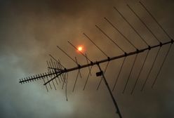 11 nadawców ubiega się o miejsca na pierwszym multipleksie