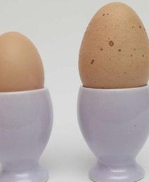 Wielki kant z wiejskimi jajami!