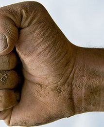 Działkowcy protestują przeciwko zmianom w prawie działkowym