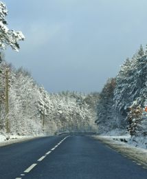 Rząd nie chce obowiązkowych zimówek