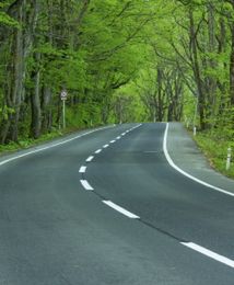 Gorące kartofle na drogach