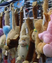 "Dziennik Gazeta Prawna": polskie zabawki made in China biją rekordy