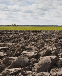 Na rynku gruntów rolnych rozmiar ma znaczenie