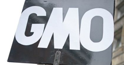 Polska będzie blokować rośliny GMO