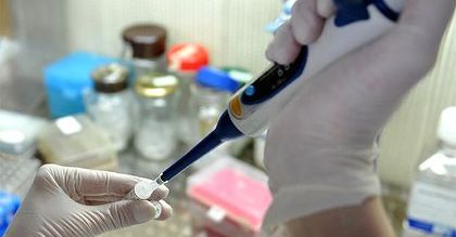 Deloitte: ponad połowa polskich firm chce zwiększyć wydatki na B+R