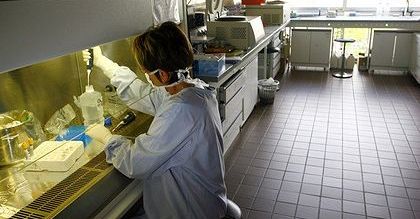 Polacy kibicują prywatnej medycynie