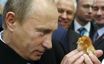 Kto straci na sankcjach Putina?