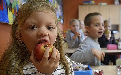 Polska dostanie na owoce w szkole 20,5 mln euro