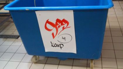 karp