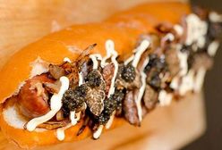 Ponad 500 zł za hot doga za budki