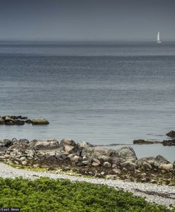 Pierwsze takie wyniki od 1500 lat. To koniec Bałtyku, jaki znamy?