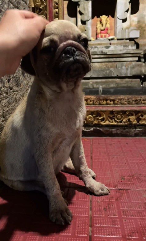 Balijskie wakacje Aleksandry Kwaśniewskiej i Kuby Badacha