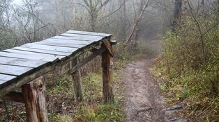 Gorzów: Miasto rozbiera nielegalne tory. Koniec dzikich tras