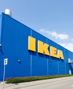 IKEA wycofuje swój produkt. Jest toksyczny dla środowiska