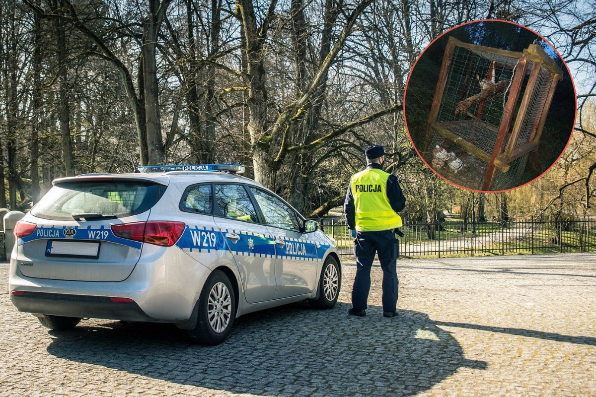 W lesie natknął się na klatkę. Przyjechał technik kryminalistyki