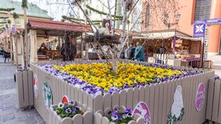 Kraków: Kiermasz św. Józefa już ruszył. Co znajdziemy na stoiskach?