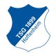 TSG 1899 Hoffenheim