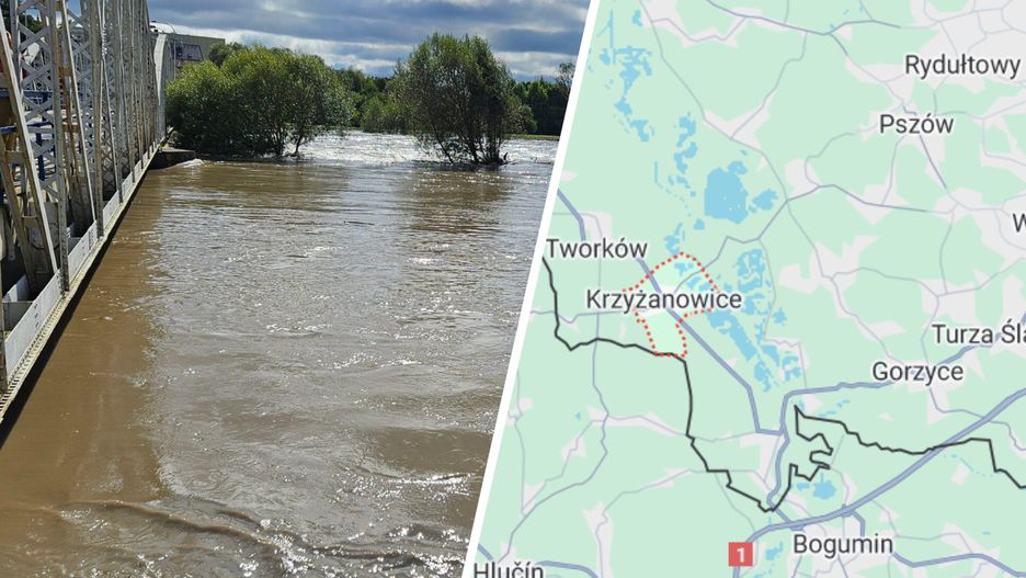 Odra w gminie Krzyżanowice