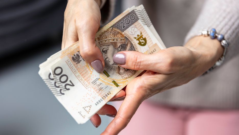 Oszustwa na "800 plus"