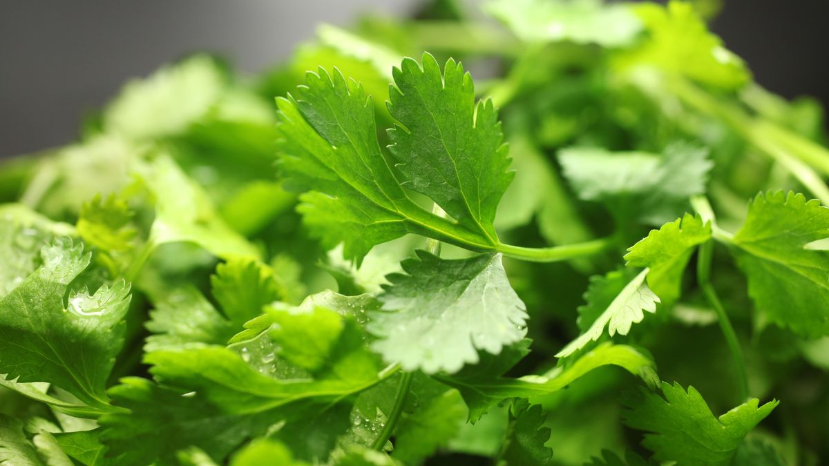 Jedni ją kochają a inni nienawidzą