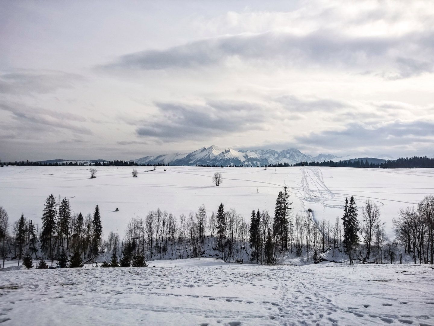 Lumia 930 - test fotograficzny 15