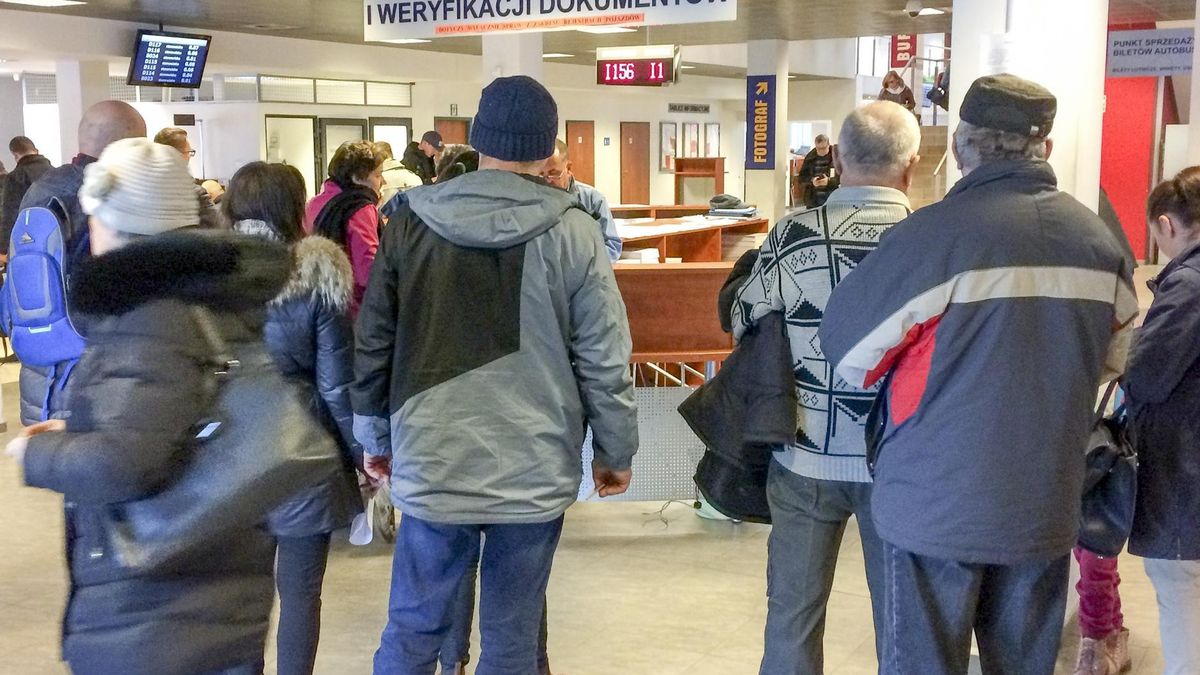 Wydział Praw Jazdy i Rejestracji Pojazdów.