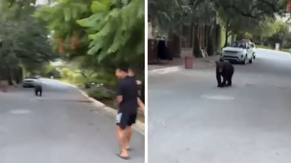 Twitter / Na zdjęciu: Angel Correa