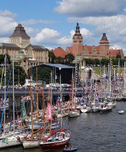 Zaatakowały Szczecin. "Sekunda i człowiek pogryziony"