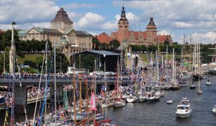 Zaatakowały Szczecin. "Sekunda i człowiek pogryziony"