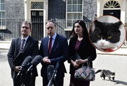 Kot Palmerston wraca do służby dyplomatycznej. Potrzebny na Bermudach