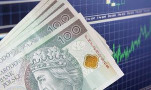 Nerwowo na rynkach. Oto jak reaguje złoty