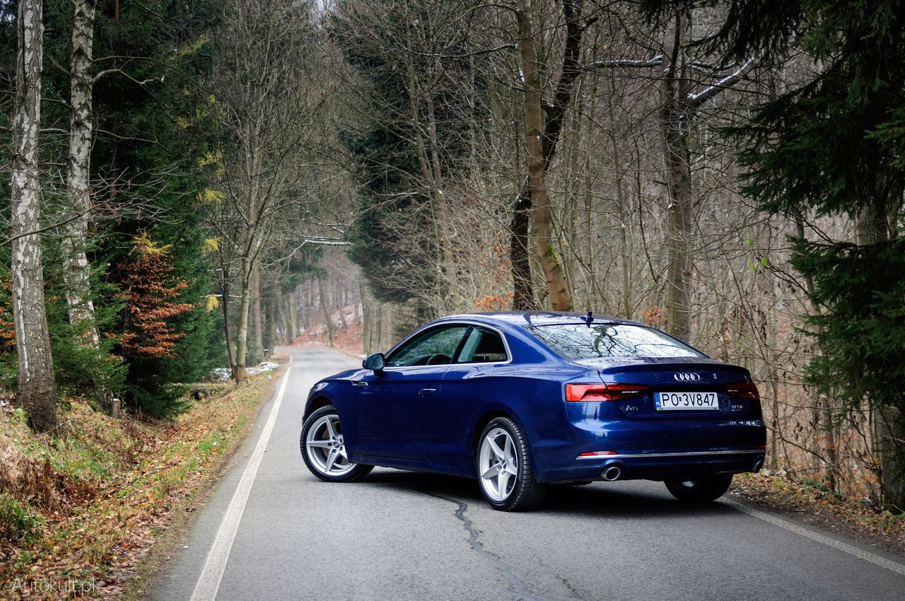 Nowe Audi A5 Coupé 2.0 TFSI quattro S tronic (2016) - zdjęcia