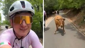 Polak pokazał film z trasy Giro d'Italia. Tylko spójrz, co zobaczył