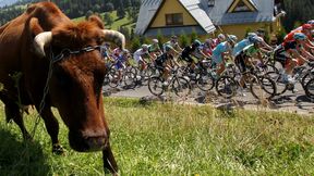 Tour de Pologne 2017: to jest czas Polski! 50 mln ludzi przez kilka dni będzie patrzyło na nasz kraj