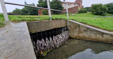 Ścieki w Wiśle u stóp Wawelu. "Leki, hormony, narkotyki"
