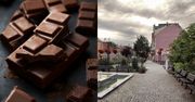 Gigant przenosi produkcję czekolady do Polski. Około 100 miejsc pracy