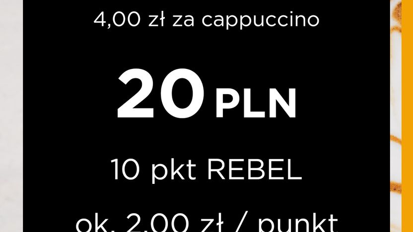 projekt REBEL 6