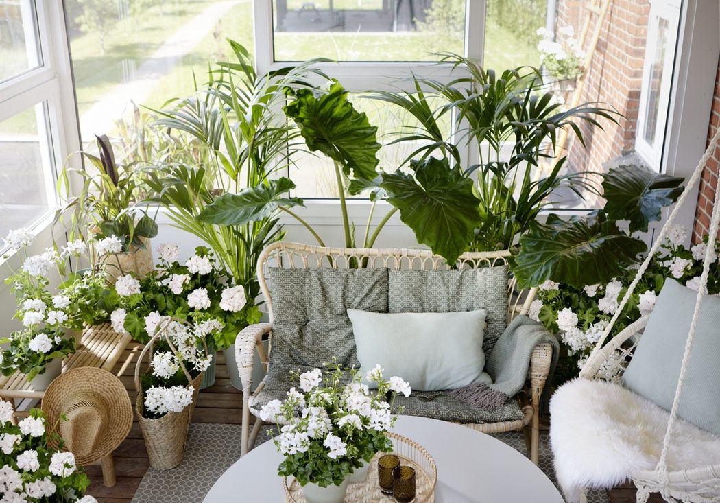 Oranżeria z ratanową sofą, wiszącym krzesłem, palmami, białymi pelargoniami, torbą z rafii i słomianym kapeluszem to propozycja dla osób, które cenią stonowane kolory