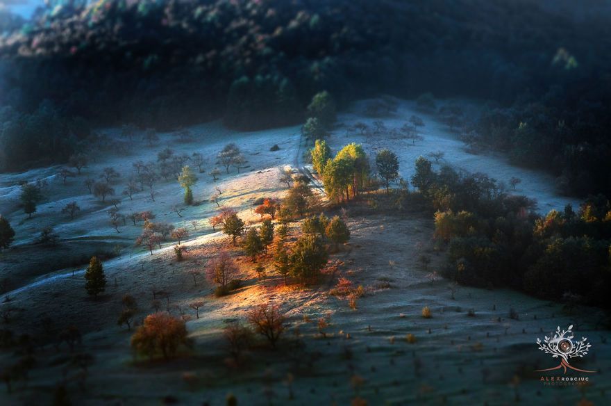 Piękne, poranne światło na zdjęciach z Transylwanii 3